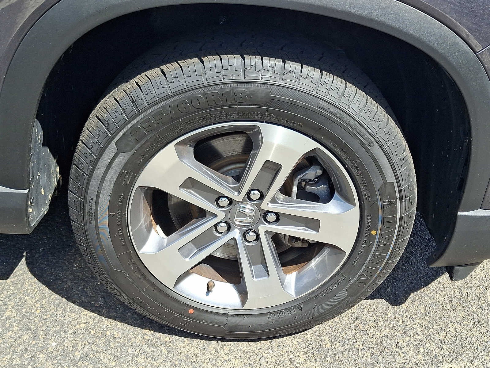 2023 Honda Pilot EX-L 8 Passenger