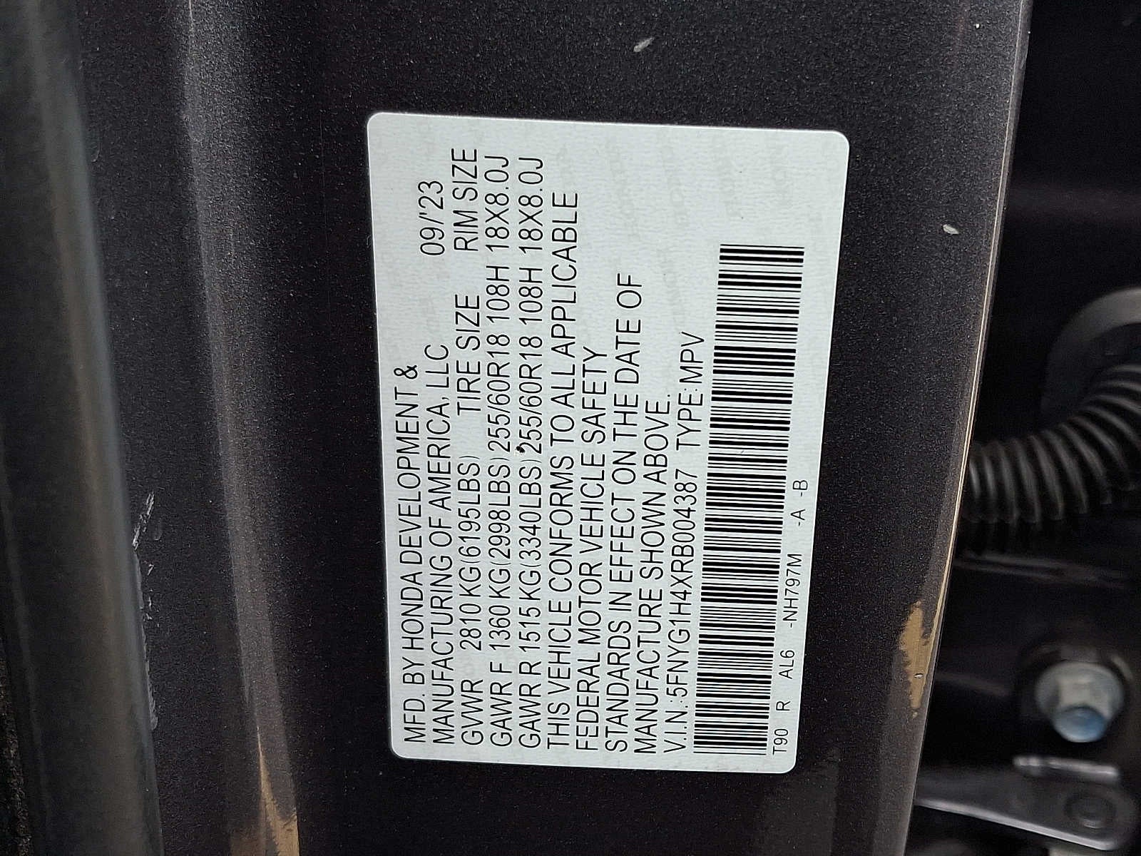 2024 Honda Pilot EX-L 8 Passenger
