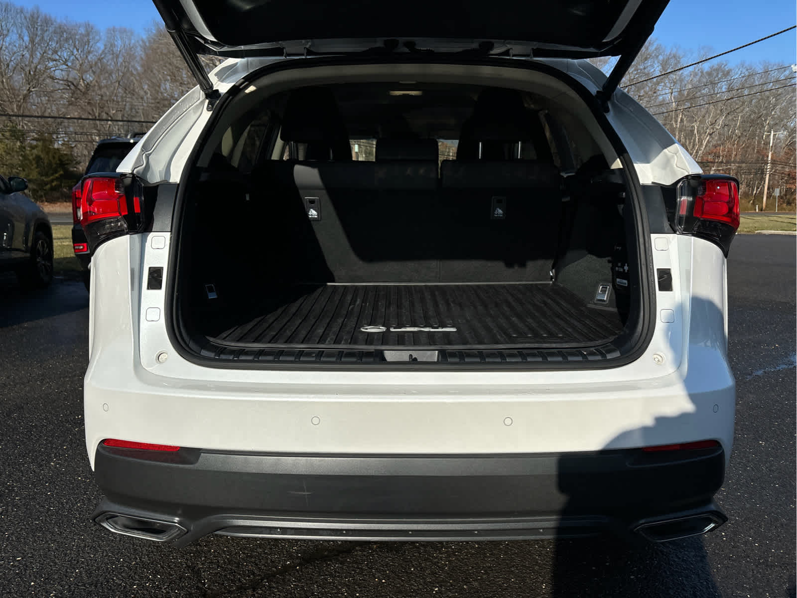 2019 Lexus NX NX 300