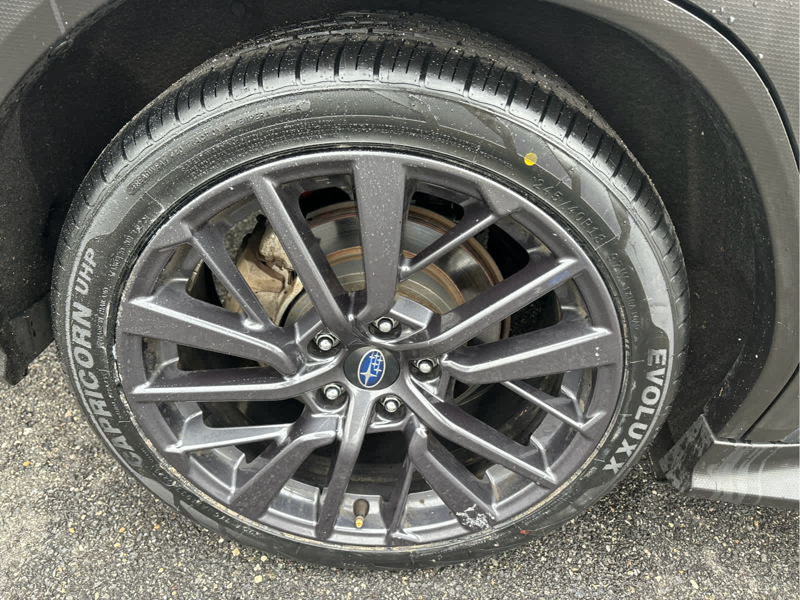 2023 Subaru WRX Premium