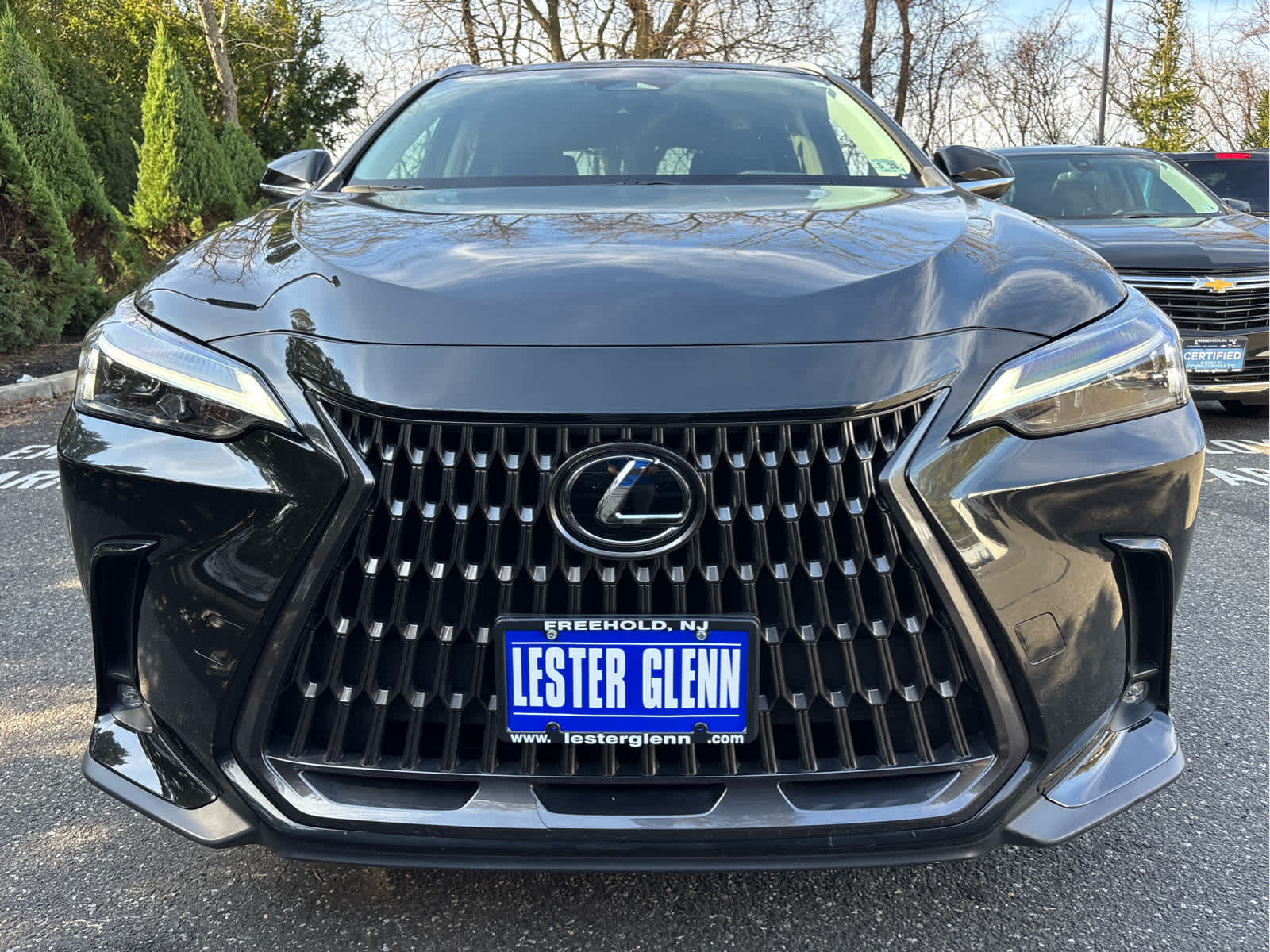 2024 Lexus NX NX 250