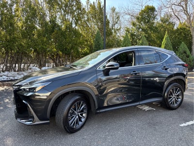 2024 Lexus NX NX 250