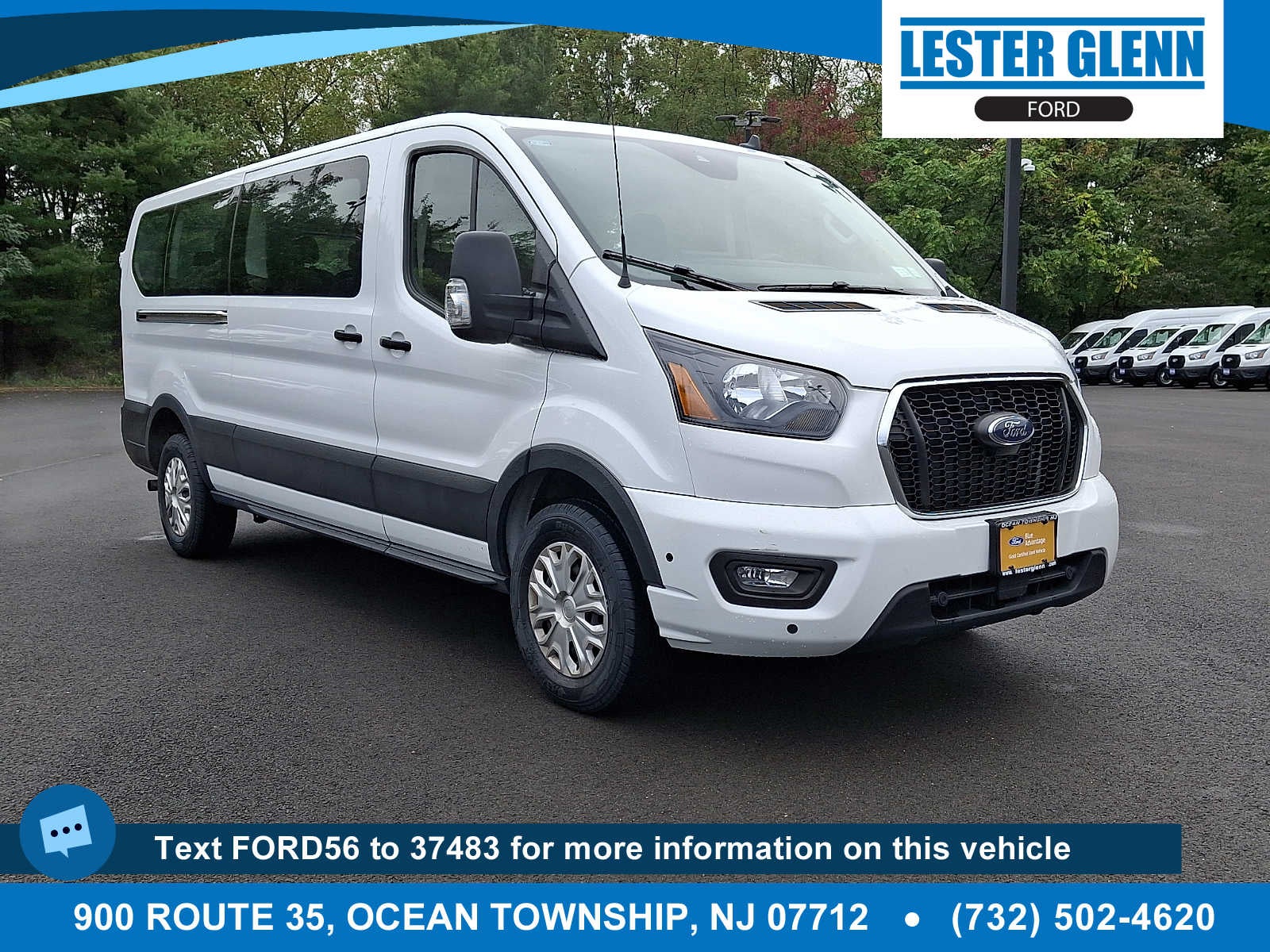 2025 Ford Transit Passenger Van XLT