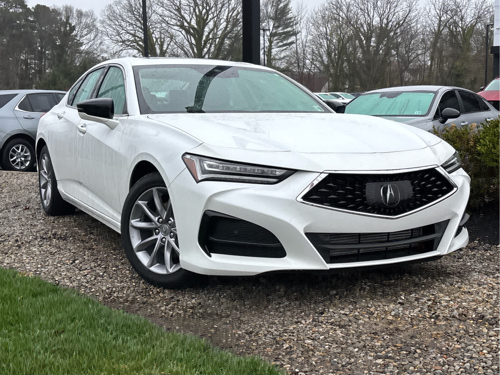 2023 Acura TLX FWD