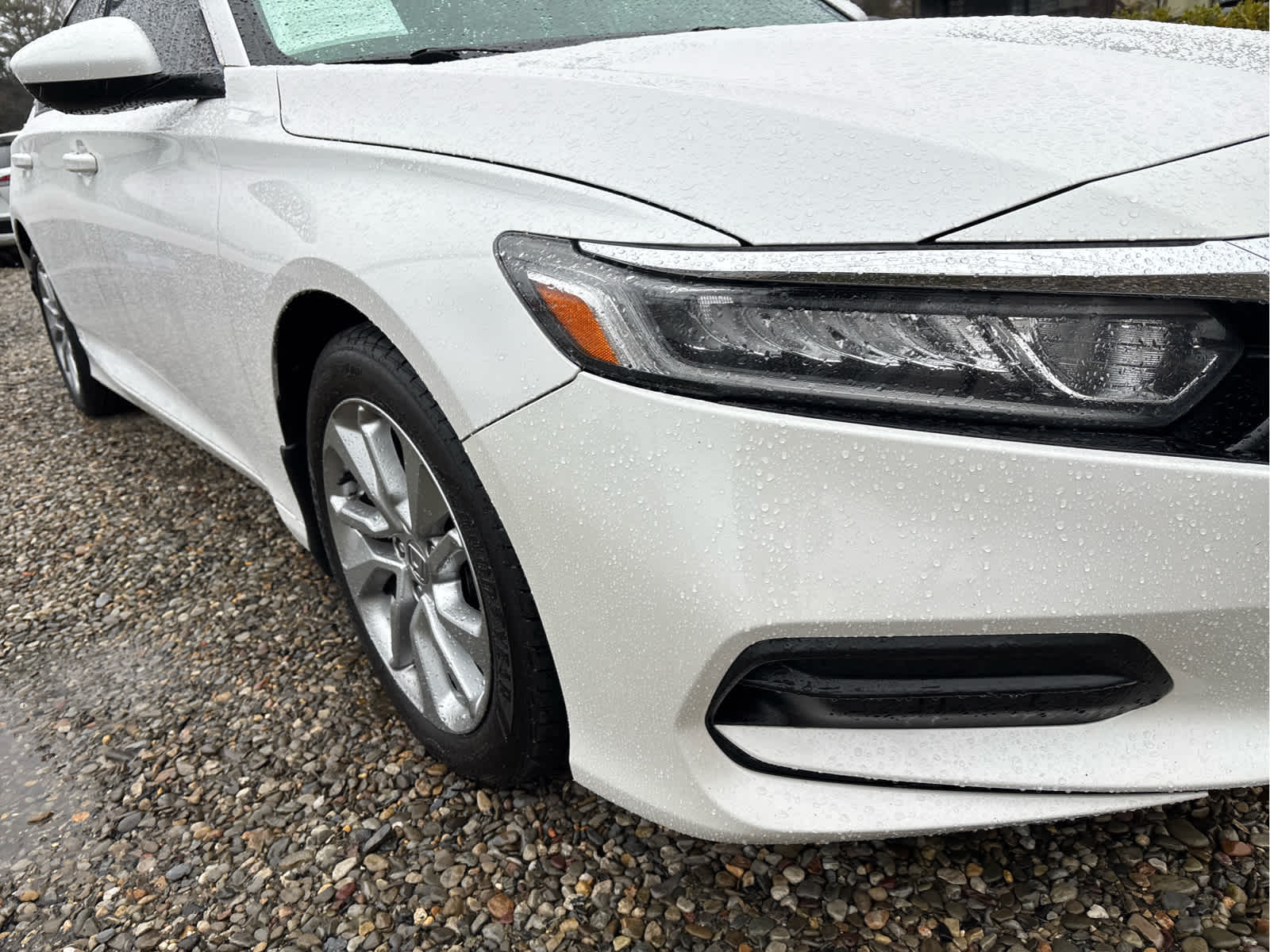 2019 Honda Accord Sedan LX 1.5T