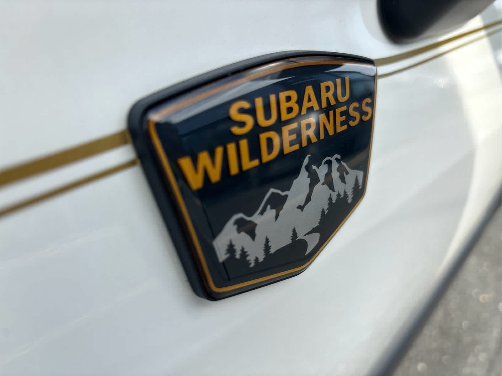 2023 Subaru Forester Wilderness