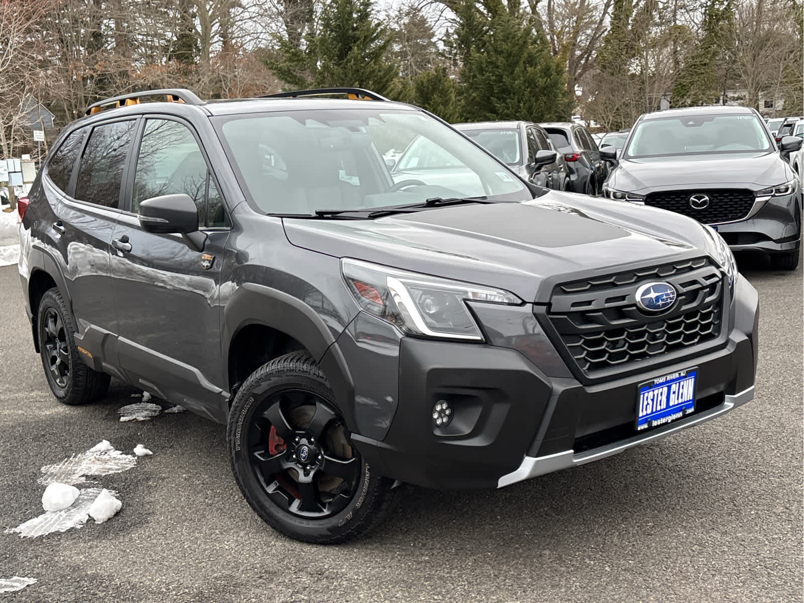 2023 Subaru Forester Wilderness
