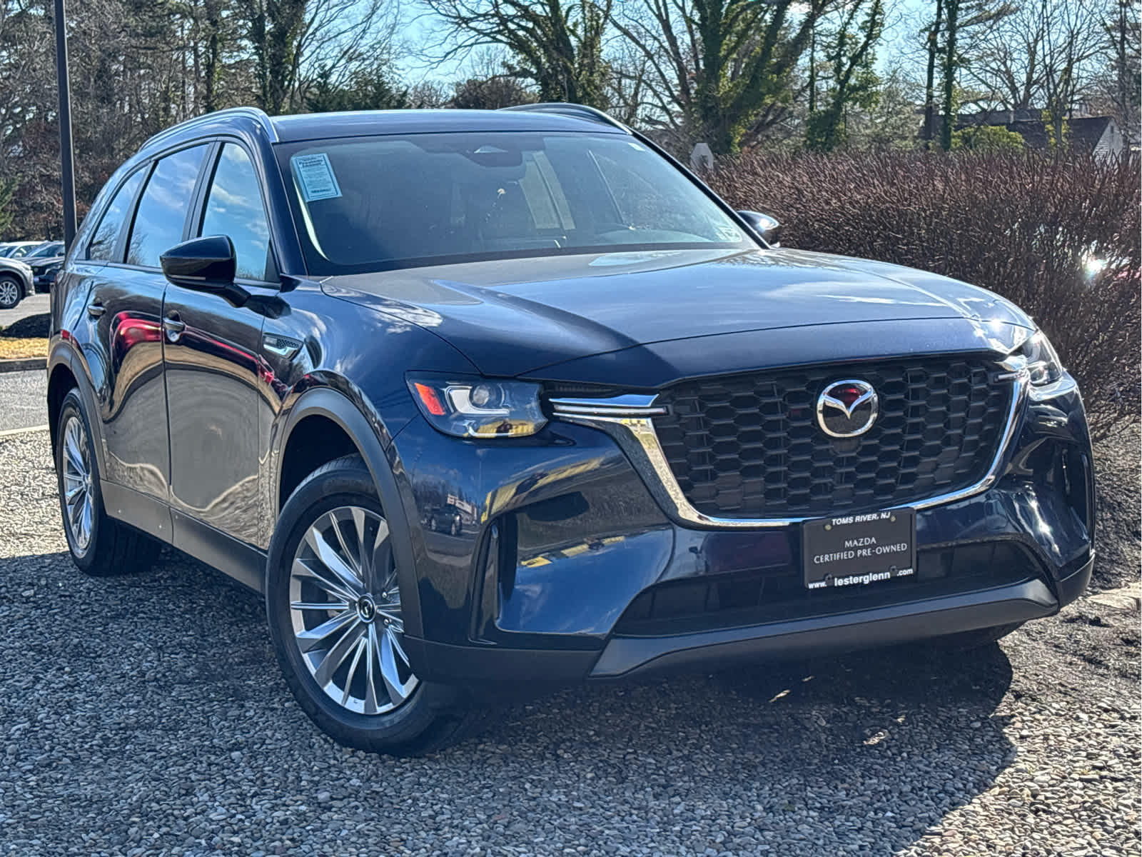 2025 Mazda Mazda CX-90 Select Package