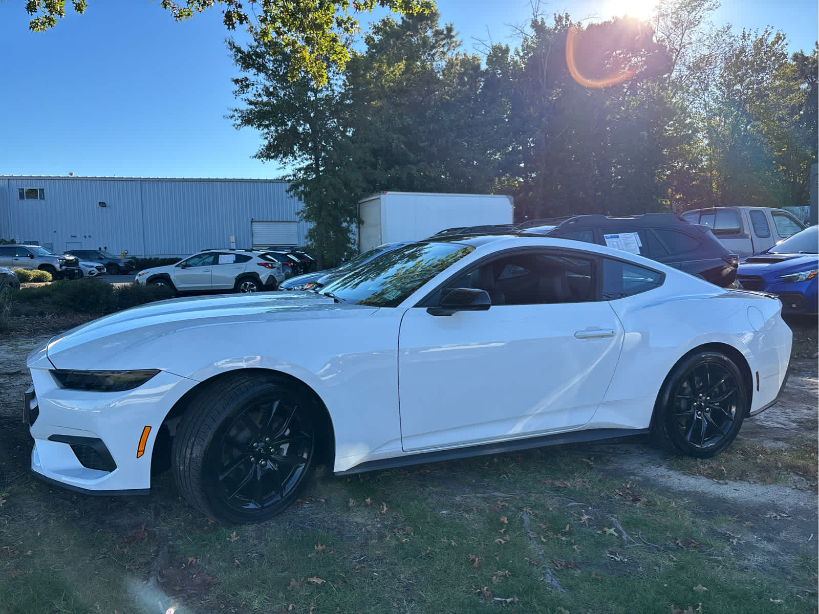 2026 Ford Mustang EcoBoost Premium