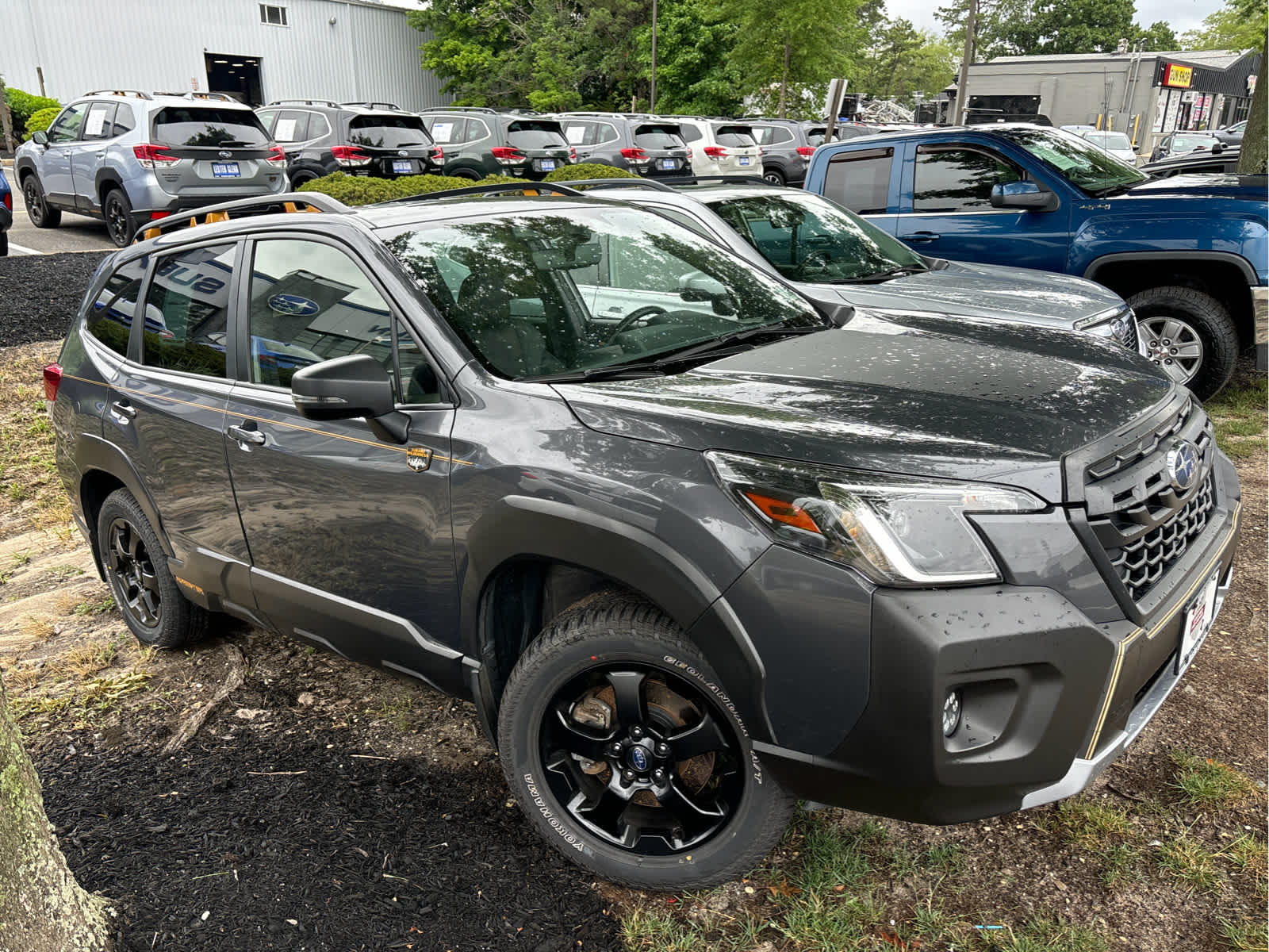 2023 Subaru Forester Wilderness