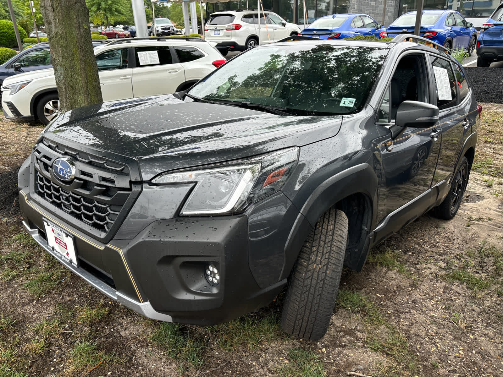 2023 Subaru Forester Wilderness