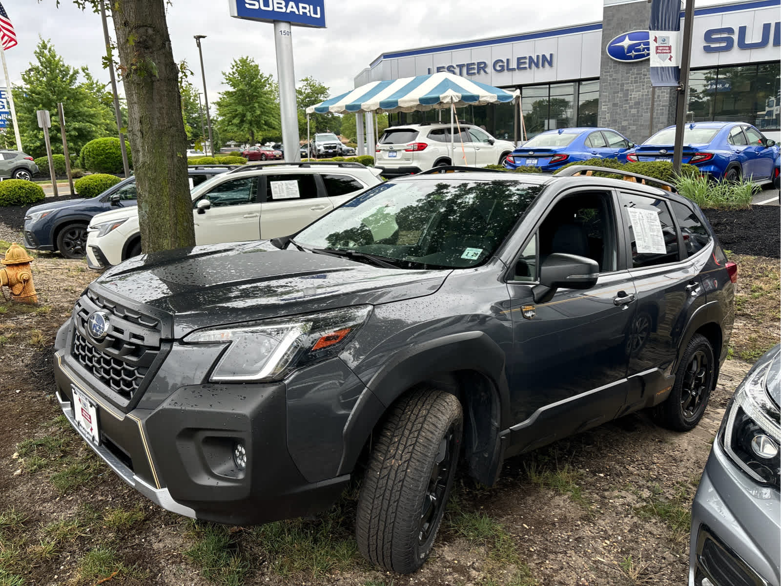 2023 Subaru Forester Wilderness