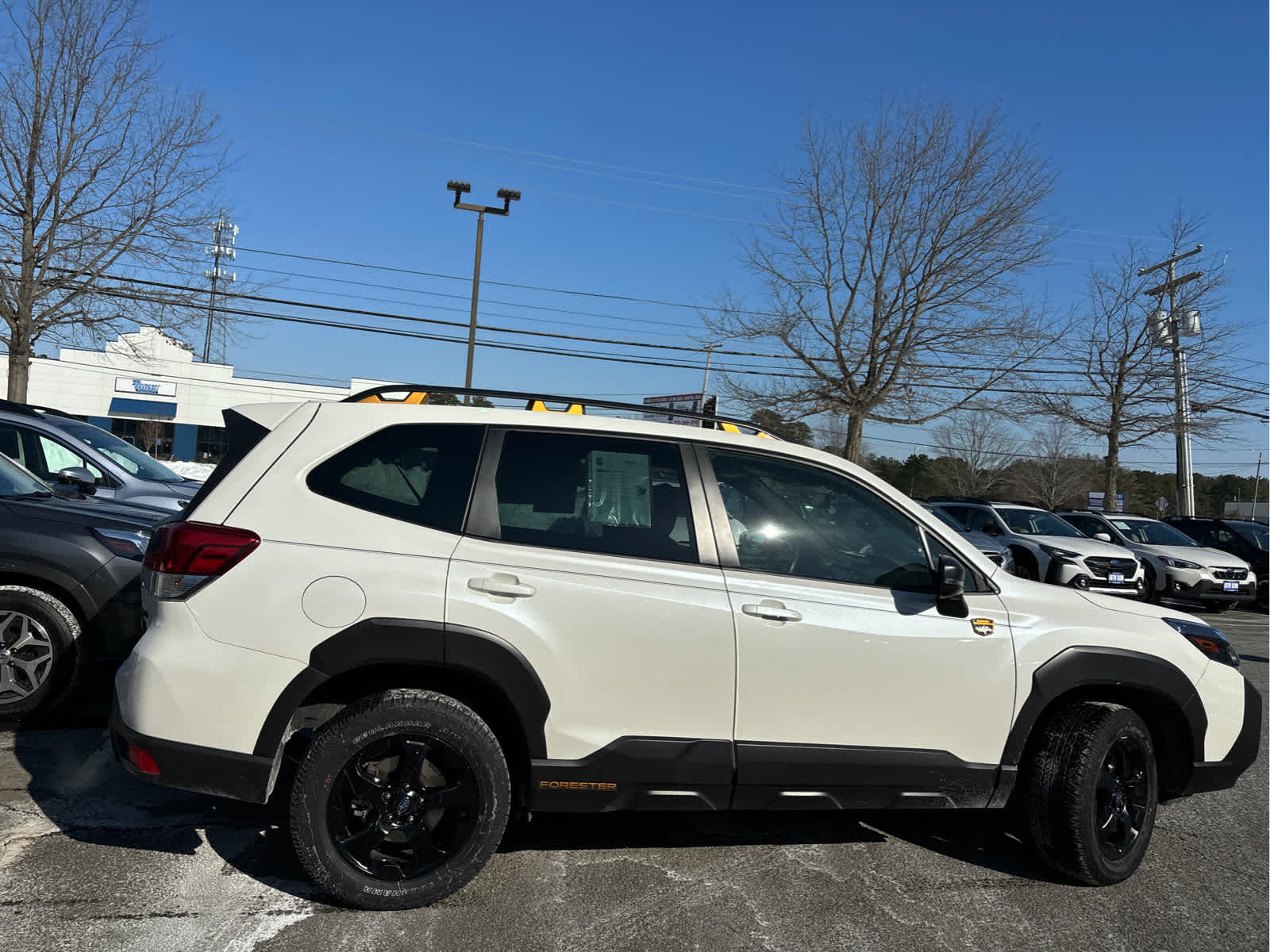 2023 Subaru Forester Wilderness