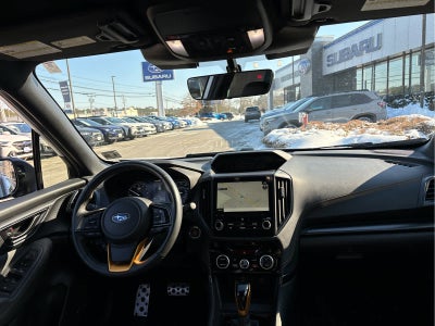 2023 Subaru Forester Wilderness