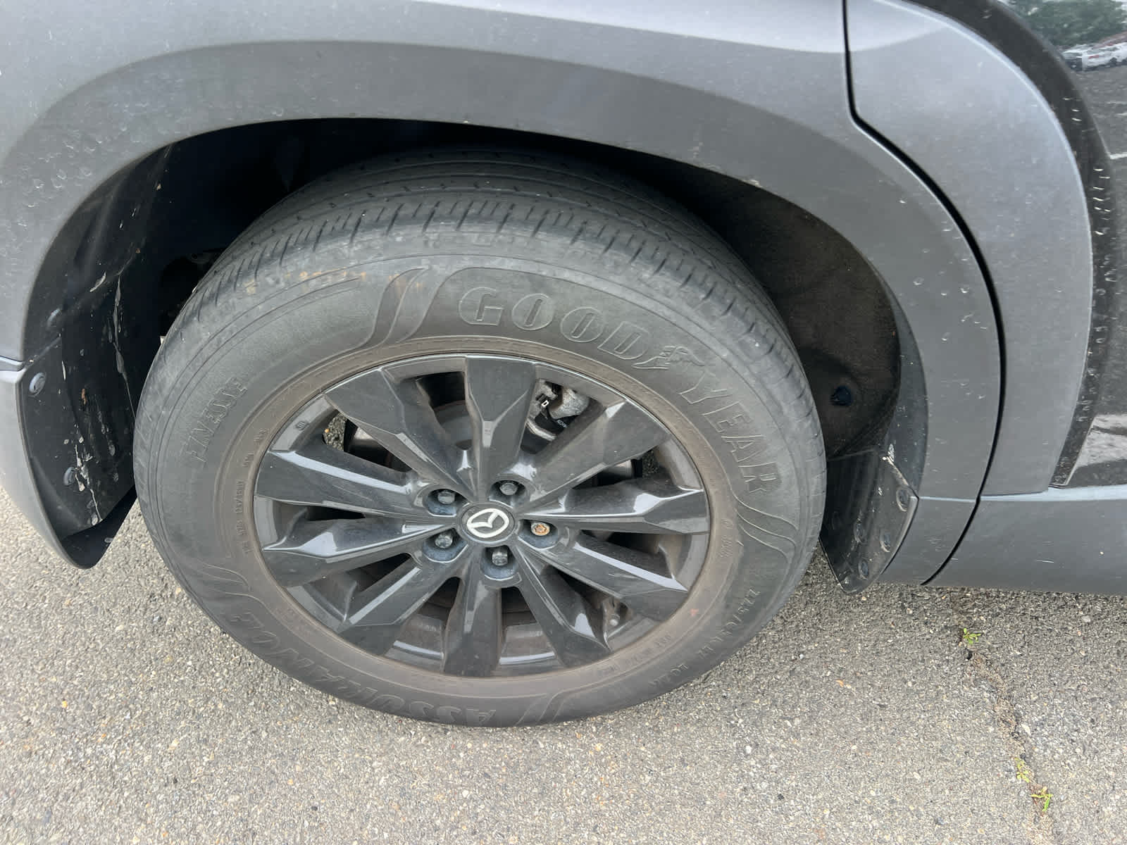 2023 Mazda Mazda CX-50 2.5 S Preferred Plus Package