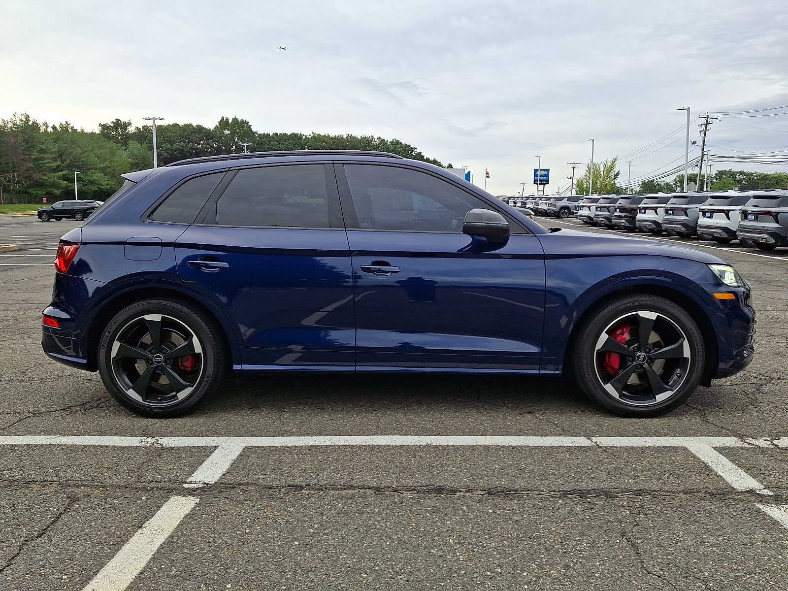 2019 Audi SQ5 Premium Plus