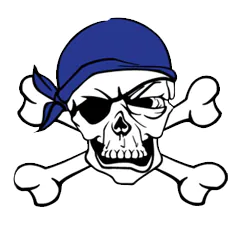 Point Challenger Flag Football logo